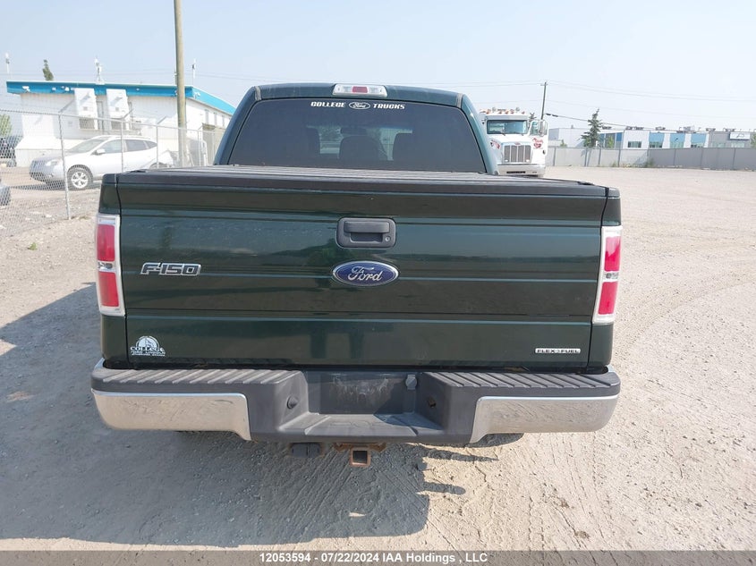 2012 Ford F150 Supercrew VIN: 1FTFW1EF6CFC04413 Lot: 12053594