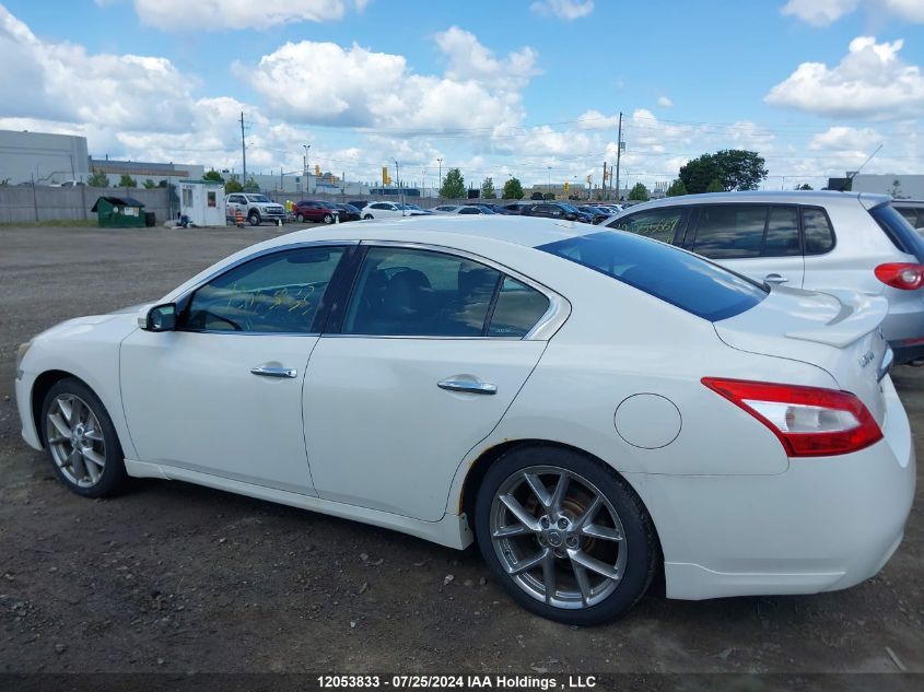 2010 Nissan Maxima VIN: 1N4AA5AP0AC861632 Lot: 12053833