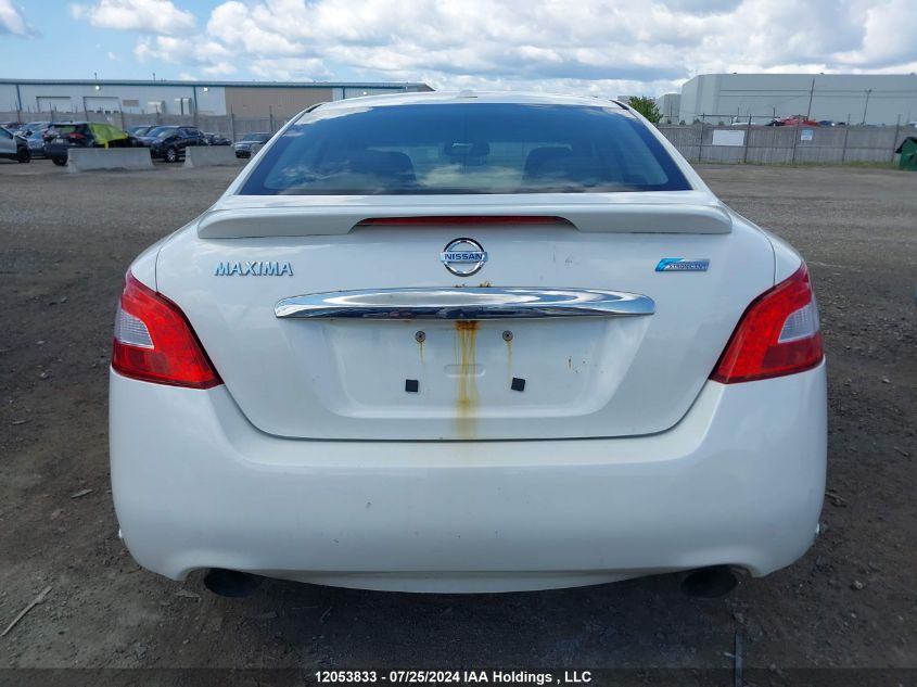 2010 Nissan Maxima VIN: 1N4AA5AP0AC861632 Lot: 12053833