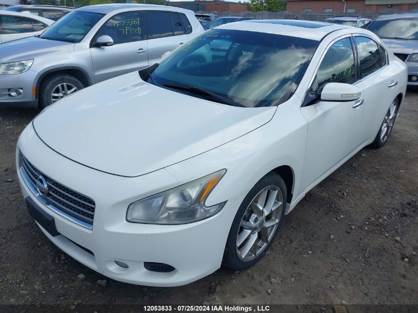 2010 Nissan Maxima VIN: 1N4AA5AP0AC861632 Lot: 12053833