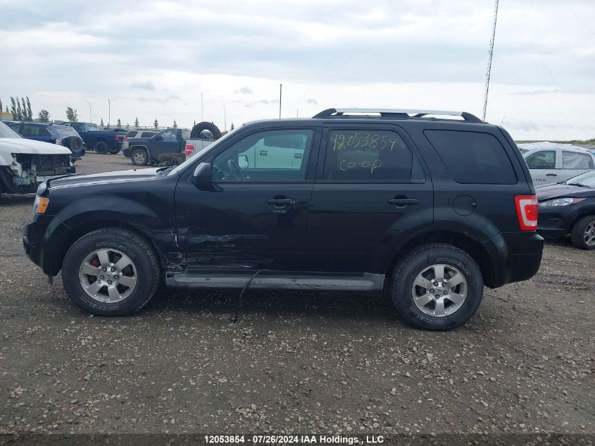 2010 Ford Escape VIN: 1FMCU9EG8AKC02601 Lot: 12053854