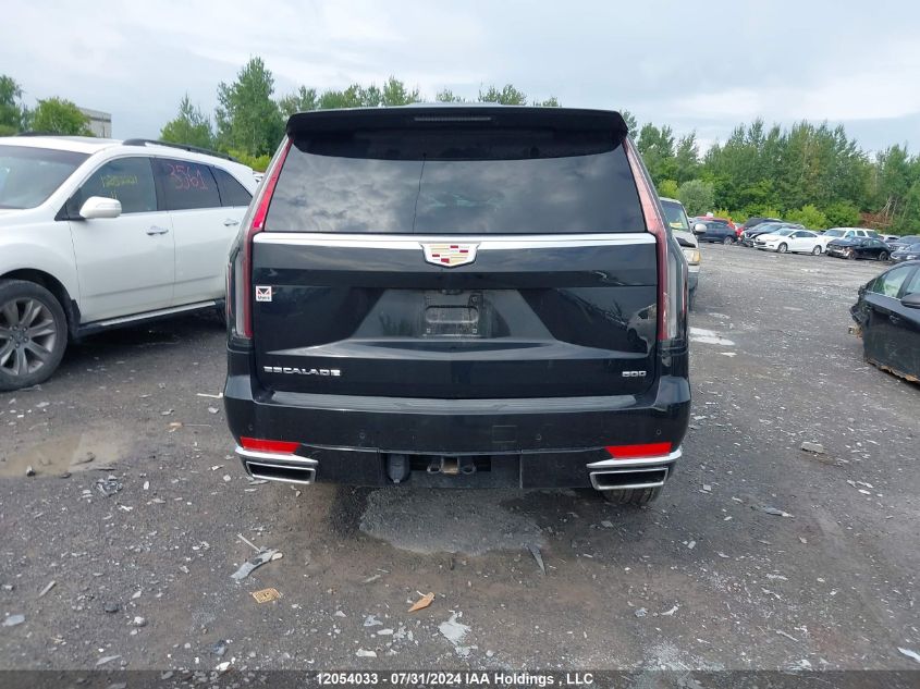 2023 Cadillac Escalade VIN: 1GYS4CKL8PR455992 Lot: 12054033