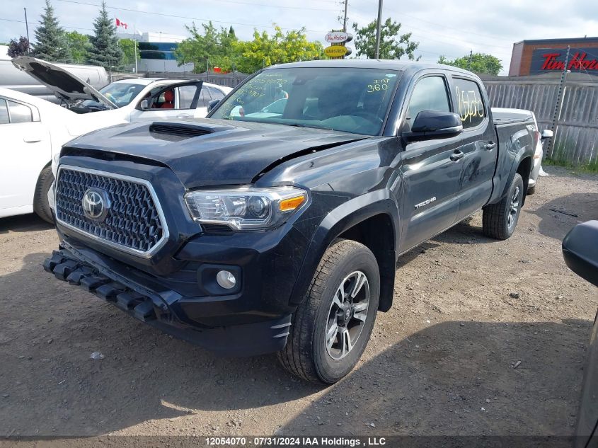 2019 Toyota Tacoma Double Cab/Sr5/Trd Sport/Trd Off Road VIN: 5TFDZ5BN7KX039904 Lot: 12054070