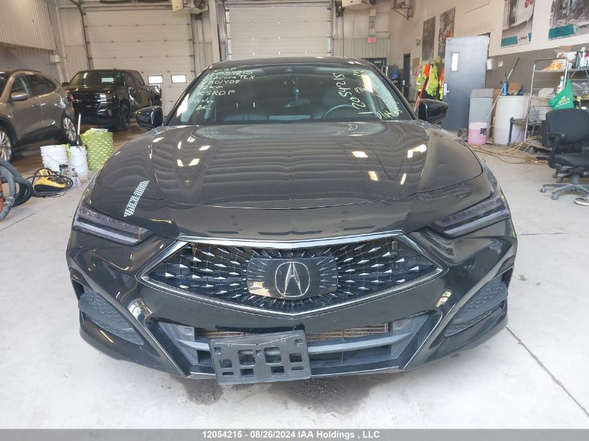 2021 Acura Tlx VIN: 19UUB6F42MA801409 Lot: 12054215