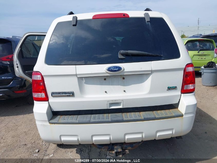 2010 Ford Escape Xlt VIN: 1FMCU0DG1AKB87985 Lot: 12054289