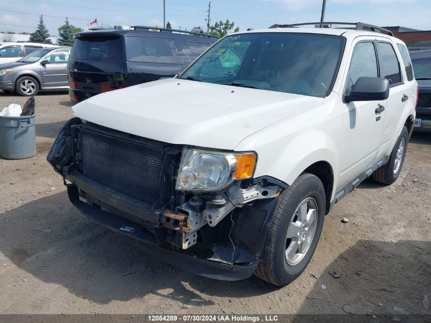 2010 Ford Escape Xlt VIN: 1FMCU0DG1AKB87985 Lot: 12054289