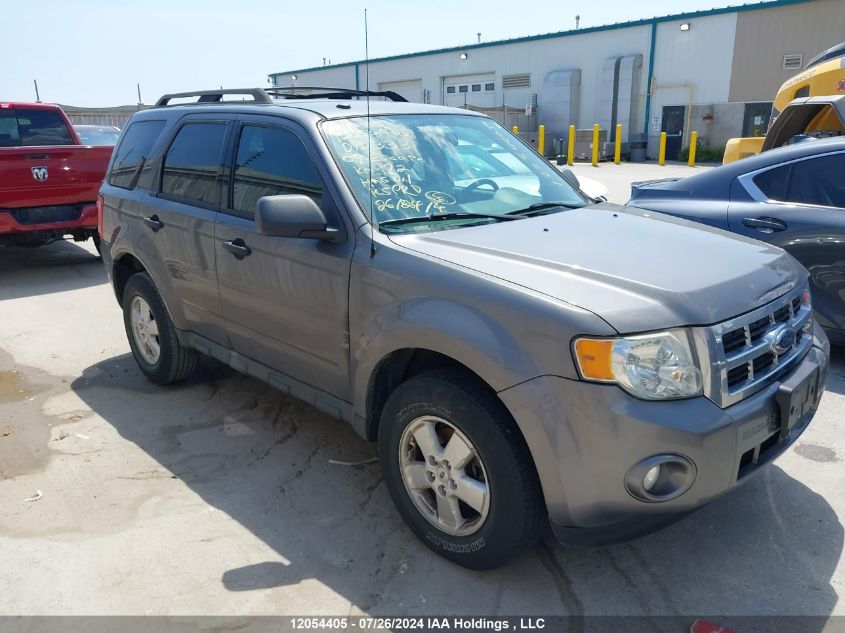2009 Ford Escape VIN: 1FMCU03G89KD12333 Lot: 12054405