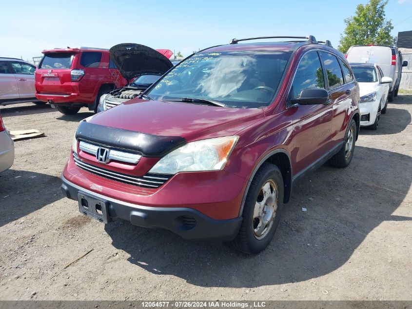 2008 Honda Cr-V VIN: 5J6RE485X8L812393 Lot: 12054577
