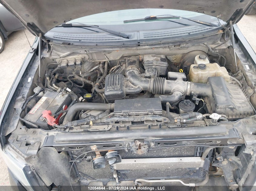 2009 Ford F-150 VIN: 1FTPW14V19FA48061 Lot: 12054644