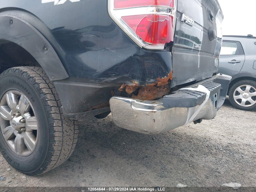 2009 Ford F-150 VIN: 1FTPW14V19FA48061 Lot: 12054644