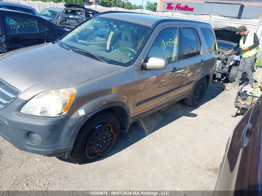 2005 Honda Cr-V VIN: JHLRD78895C804854 Lot: 12054676