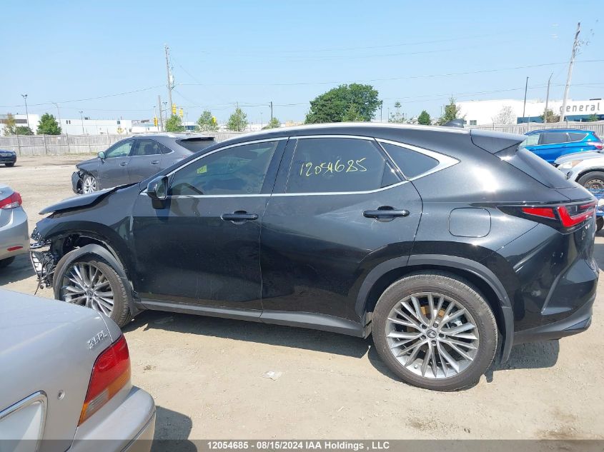 2023 Lexus Nx 350H 350H VIN: 2T2GKCEZ4PC015243 Lot: 12054685