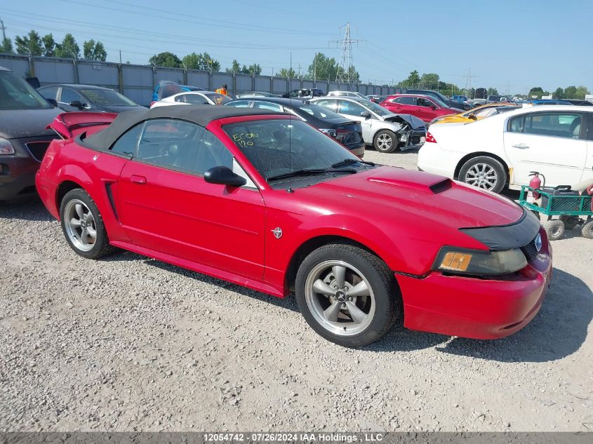 1999 Ford Mustang VIN: 1FAFP4441XF217600 Lot: 12054742