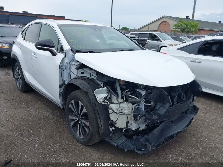 2019 Lexus Nx 300 VIN: JTJBARBZ8K2195713 Lot: 12054751