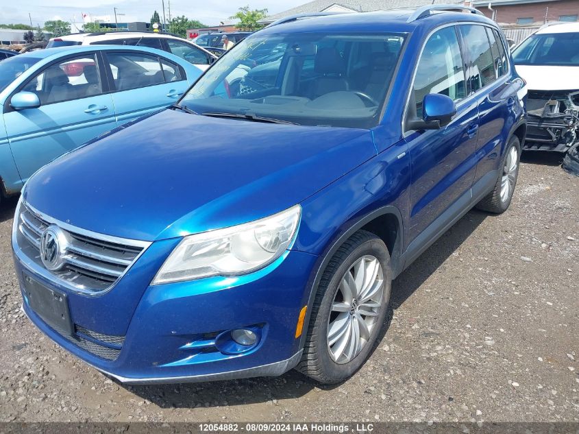 2010 Volkswagen Tiguan VIN: WVGAV7AX6AW002338 Lot: 12054882