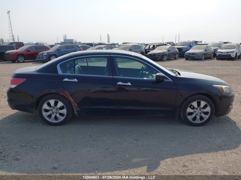 2010 Honda Accord Sedan VIN: 1HGCP3F82AA801050 Lot: 12054903