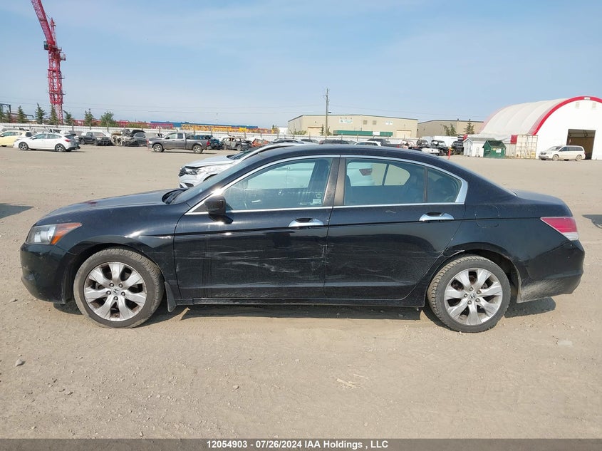 2010 Honda Accord Sedan VIN: 1HGCP3F82AA801050 Lot: 12054903