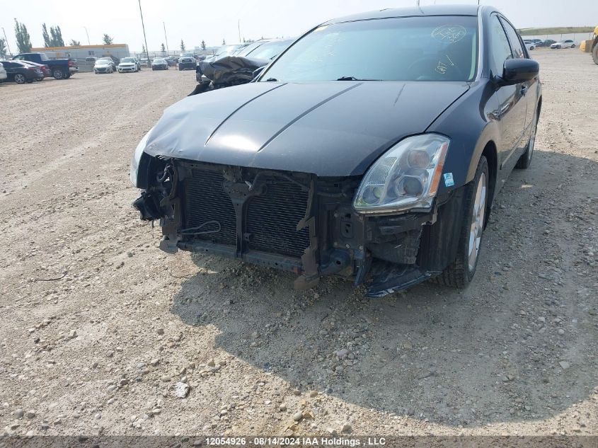 2004 Nissan Maxima Se/Sl VIN: 1N4BA41E14C851046 Lot: 12054926