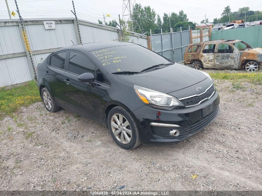 2017 Kia Rio VIN: KNADN4A31H6028446 Lot: 12054939