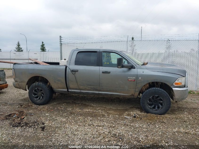 2010 Dodge Ram 3500 VIN: 3D73Y3CL9AG145859 Lot: 12055057