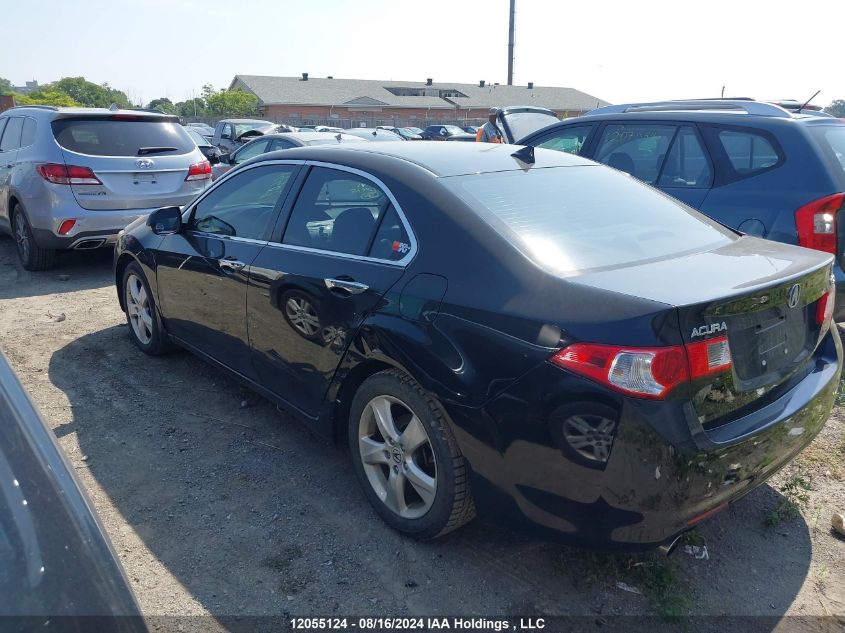 2009 Acura Tsx VIN: JH4CU26669C801972 Lot: 12055124