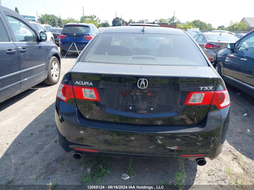 2009 Acura Tsx VIN: JH4CU26669C801972 Lot: 12055124