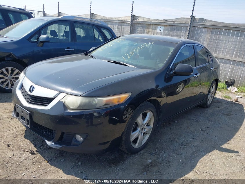 2009 Acura Tsx VIN: JH4CU26669C801972 Lot: 12055124