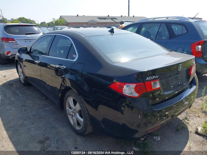 2009 Acura Tsx VIN: JH4CU26669C801972 Lot: 12055124