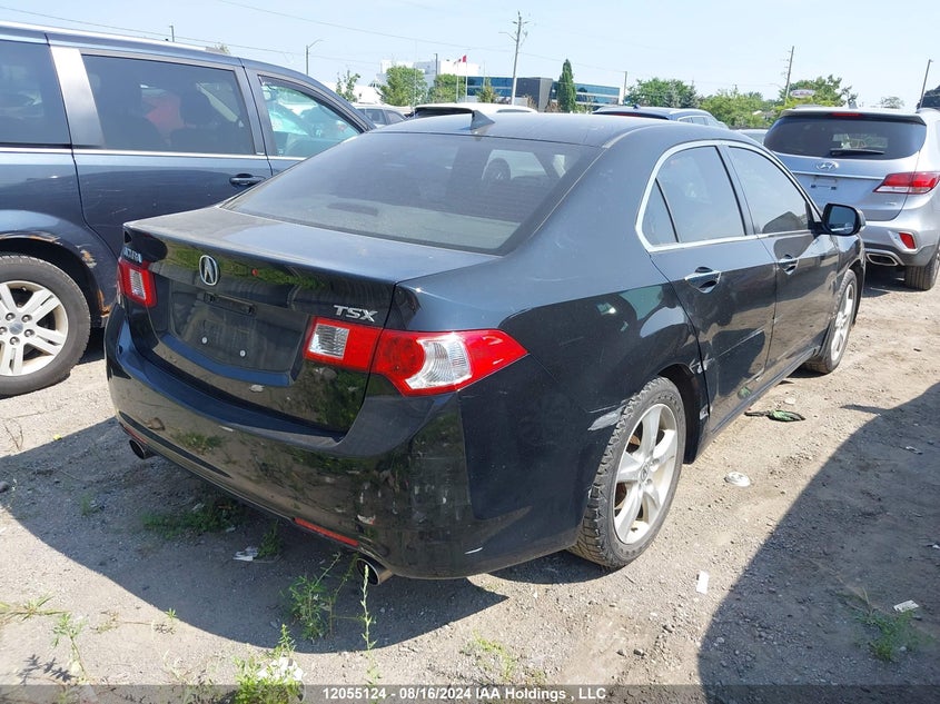 2009 Acura Tsx VIN: JH4CU26669C801972 Lot: 12055124