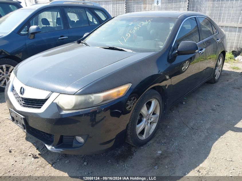 2009 Acura Tsx VIN: JH4CU26669C801972 Lot: 12055124