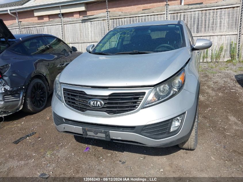 2013 Kia Sportage Lx VIN: KNDPB3A25D7485503 Lot: 12055243