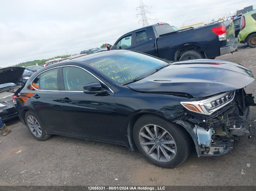 2019 Acura Tlx VIN: 19UUB1F5XKA800386 Lot: 12055331