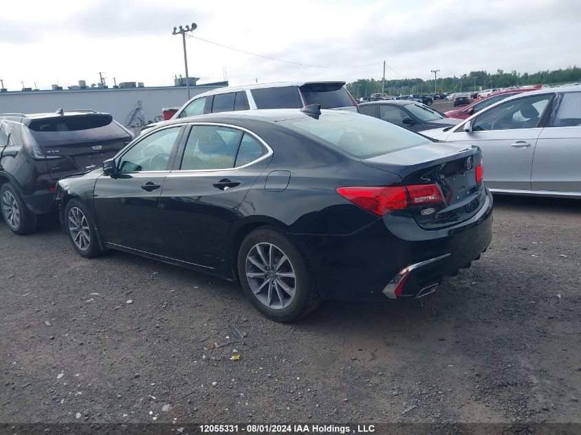 2019 Acura Tlx VIN: 19UUB1F5XKA800386 Lot: 12055331