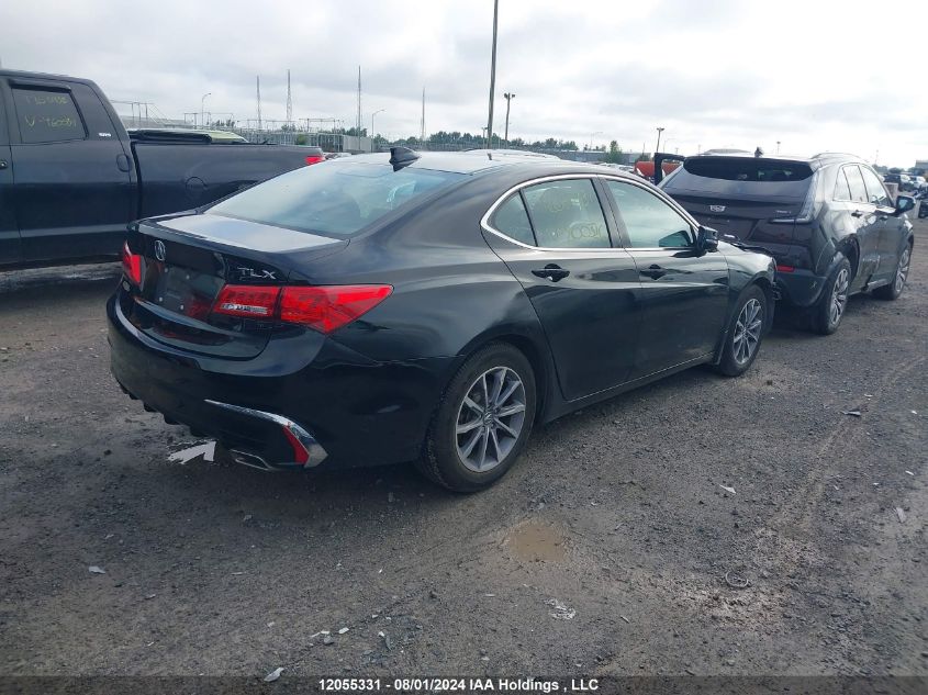 2019 Acura Tlx VIN: 19UUB1F5XKA800386 Lot: 12055331