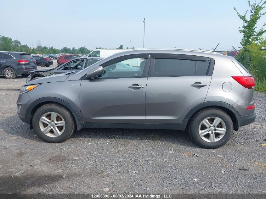 2016 Kia Sportage VIN: KNDPBCACXG7852599 Lot: 12055395