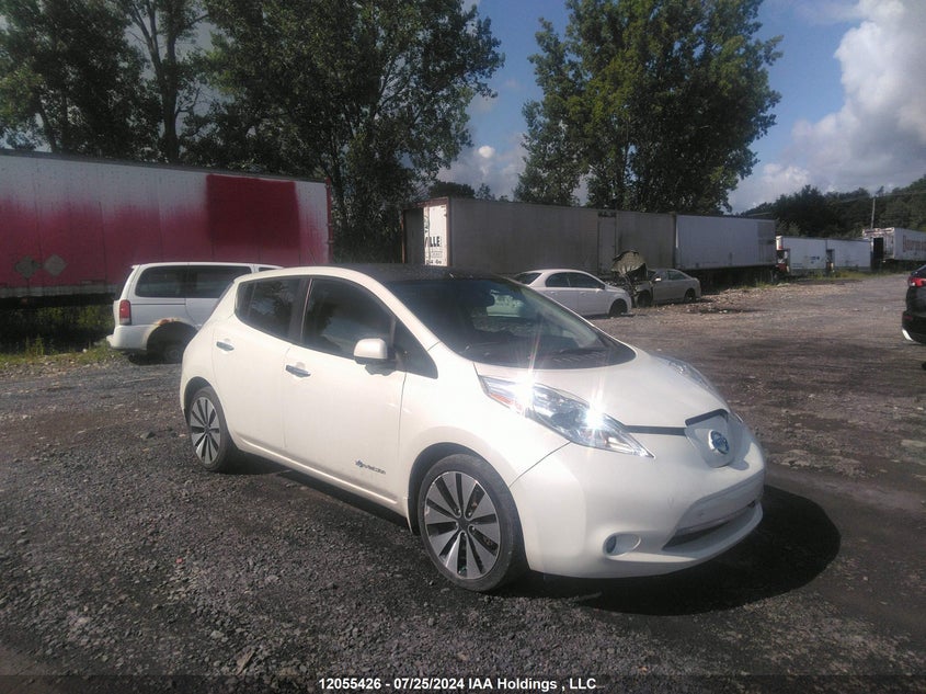 2016 Nissan Leaf VIN: 1N4BZ0CP6GC307632 Lot: 12055426