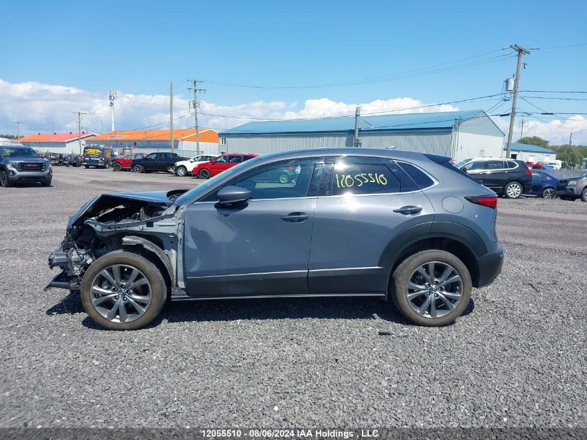 2021 Mazda Cx-30 VIN: 3MVDMBDL9MM229073 Lot: 12055510