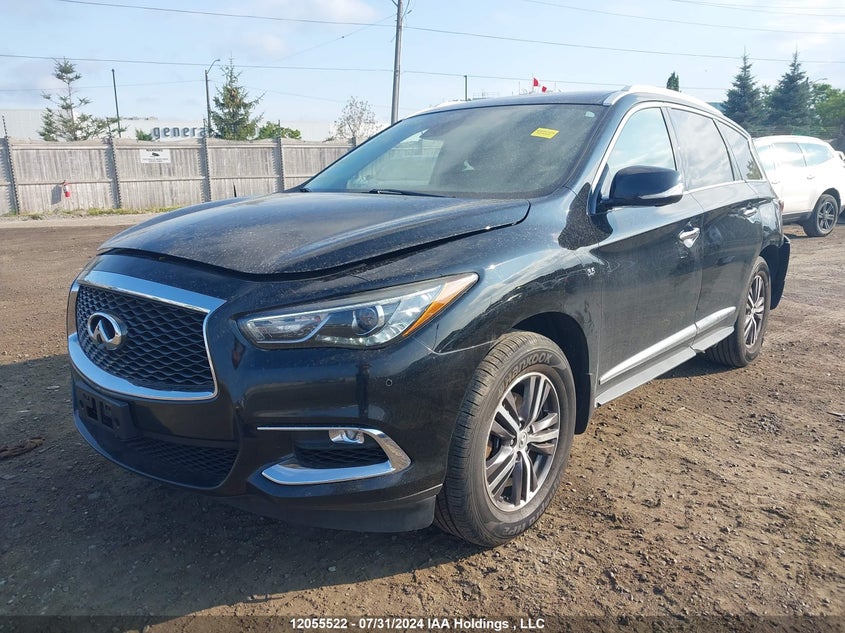 2019 Infiniti Qx60 VIN: 5N1DL0MMXKC502209 Lot: 12055522