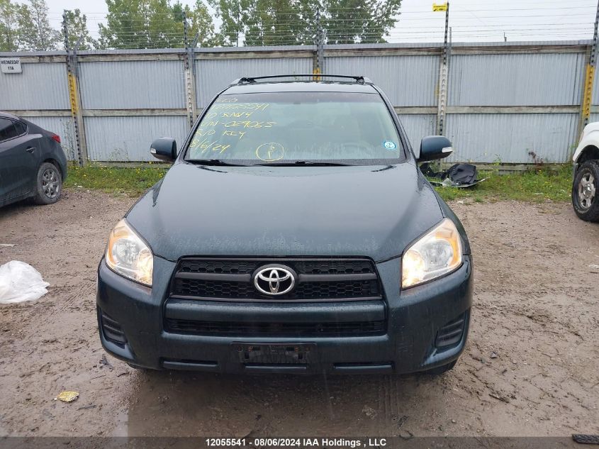 2010 Toyota Rav4 VIN: 2T3BF4DV4AW029065 Lot: 12055541