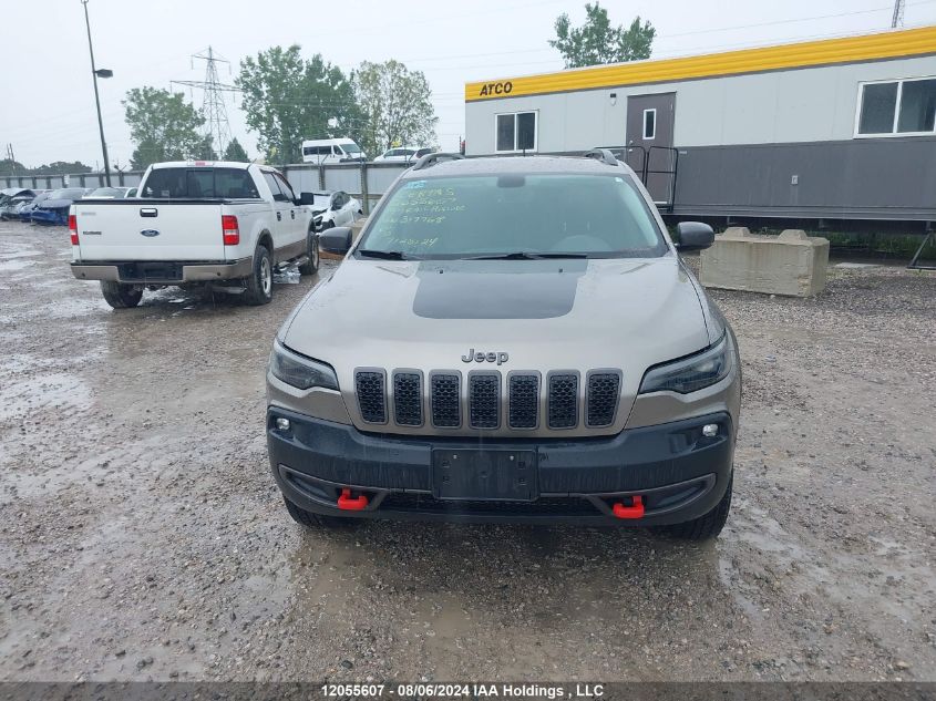 2019 Jeep Cherokee Trailhawk VIN: 1C4PJMBX0KD317768 Lot: 12055607