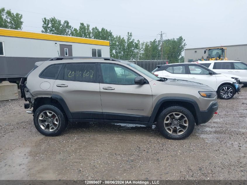 2019 Jeep Cherokee Trailhawk VIN: 1C4PJMBX0KD317768 Lot: 12055607