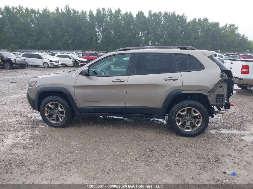 2019 Jeep Cherokee Trailhawk VIN: 1C4PJMBX0KD317768 Lot: 12055607