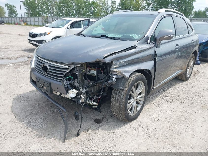 2013 Lexus Rx 350 VIN: 2T2ZK1BA0DC111460 Lot: 12055620