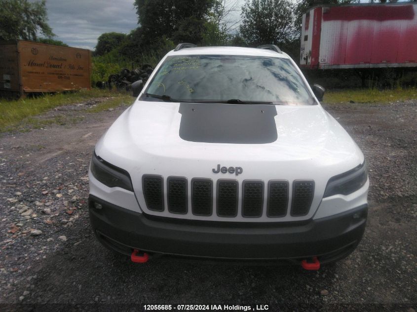 2019 Jeep Cherokee Trailhawk VIN: 1C4PJMBX7KD207445 Lot: 12055685