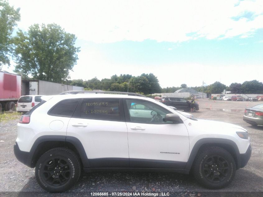 2019 Jeep Cherokee Trailhawk VIN: 1C4PJMBX7KD207445 Lot: 12055685