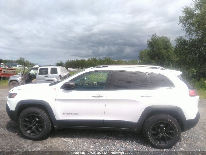 2019 Jeep Cherokee Trailhawk VIN: 1C4PJMBX7KD207445 Lot: 12055685