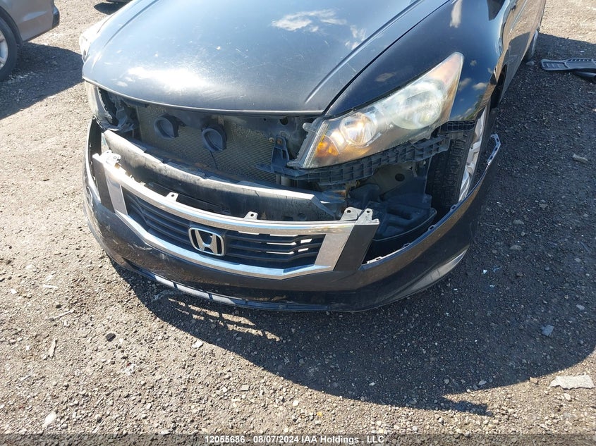 2009 Honda Accord Sedan VIN: 1HGCP26829A801930 Lot: 12055686