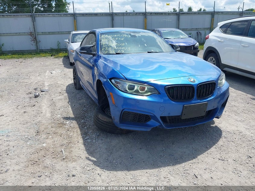 2016 BMW 2 Series VIN: WBA1J9C5XGV696518 Lot: 12055826