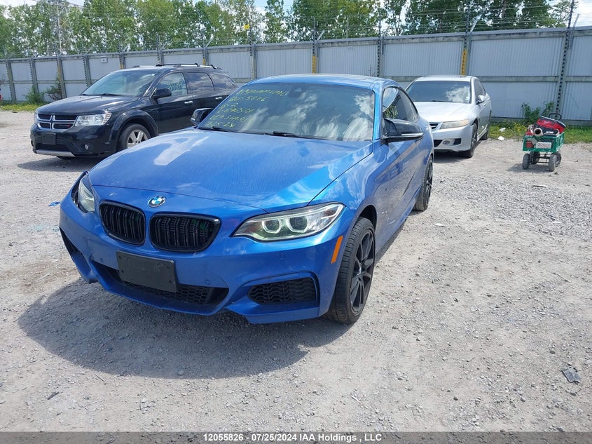 2016 BMW 2 Series VIN: WBA1J9C5XGV696518 Lot: 12055826