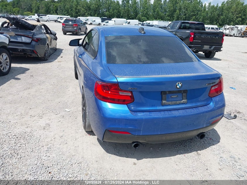 2016 BMW 2 Series VIN: WBA1J9C5XGV696518 Lot: 12055826